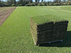 Sod Installation